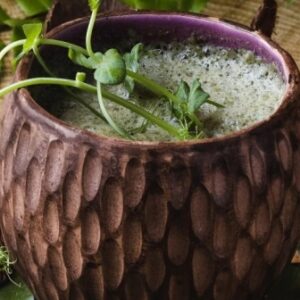 Смузи «Яблочный с сельдереем, имбирем и шпинатом» от Green Food Cafe